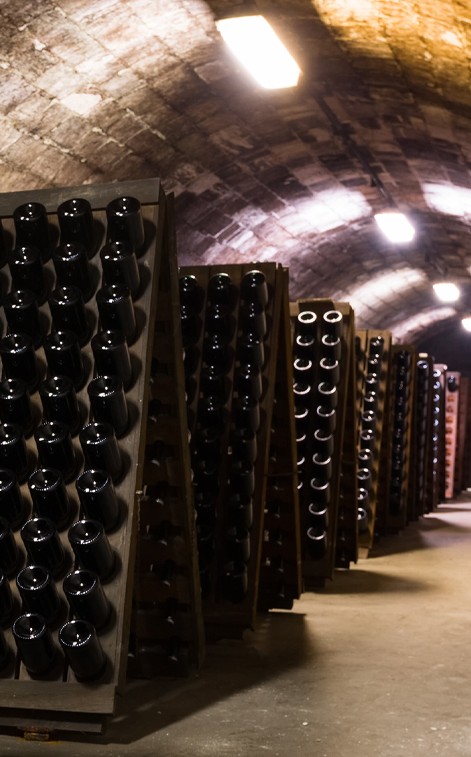 Törley Rázóállvány